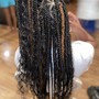 Bohemian box Braids