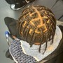 Starter Dreadlocks