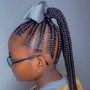 Kid's Fun Ponytail