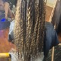 Shampoo + Condition+ Trim &amp; Blowout or Braid down