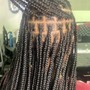 Poetic Justice Braids