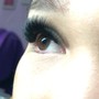 Eyelash Tint lifts