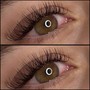 Volume Lash Full Set