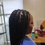 Tree Braids cornrows