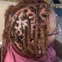 Starter Locs