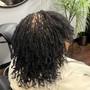 Afroloc Loc Rejuvenator Detox, Hydration Steam Treatment,  retwist and basic style