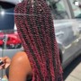 Medium Senegalese Twist