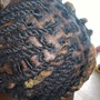 Tree Braids