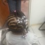 Comb Twist