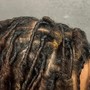 Starter Locs