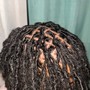 Loc Coils/ Starter Twist