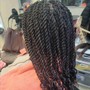 Small Senegalese Twist