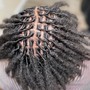 Loc updo