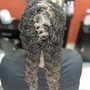 Two Strand Twist (natural hair)