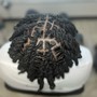 Starter Locs