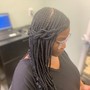 Bleach and Tone locs & retwist (double process loc color service)