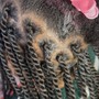 small Senegalese twist $280