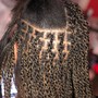 Half Up- Half Down Feed-In Braids