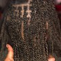 Senegalese Twist (Small)