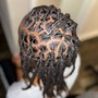 Loc Retwist