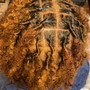 Root Touch Up