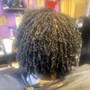 Natural Twists