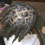 Starter Locs