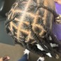 Shampoo and Loc Re-twist