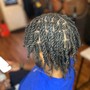 Starter Locs