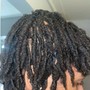 Loc Maintenance/Retwist