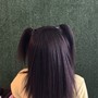 Princess Ponytail