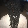 Havana Twists