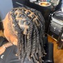 Starter Locs