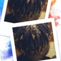 Loc Double Twist AKA Two Strand Twist