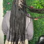 Tree Braids