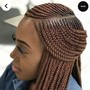 Small 3layer braids (lower back length)