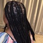 Medium Two Strand Twists