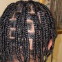 Medium Two Strand Twists