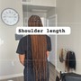 Large Nubian / Fluffy/ Spring Twists shoulder length