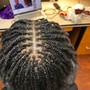 Havana Twists