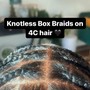 Large Box Braids knee length