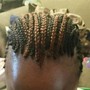 Comb Twist