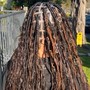 (Boho) Knotless (Small)