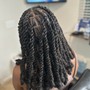 7-20 Stitch Feed In Braids