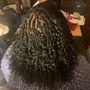 Individual Tree Braids