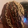 Poetic Justice Braids