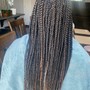 Box Braids