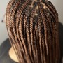 Natural Twists