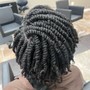 Mini Twists