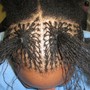 Individual Braids